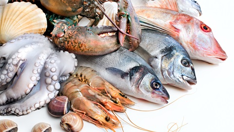 pesce